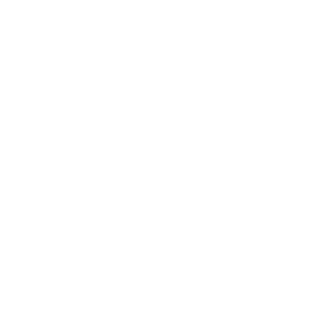 fly by jing